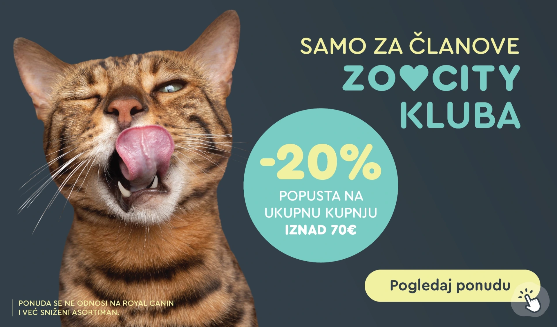 Web akcija