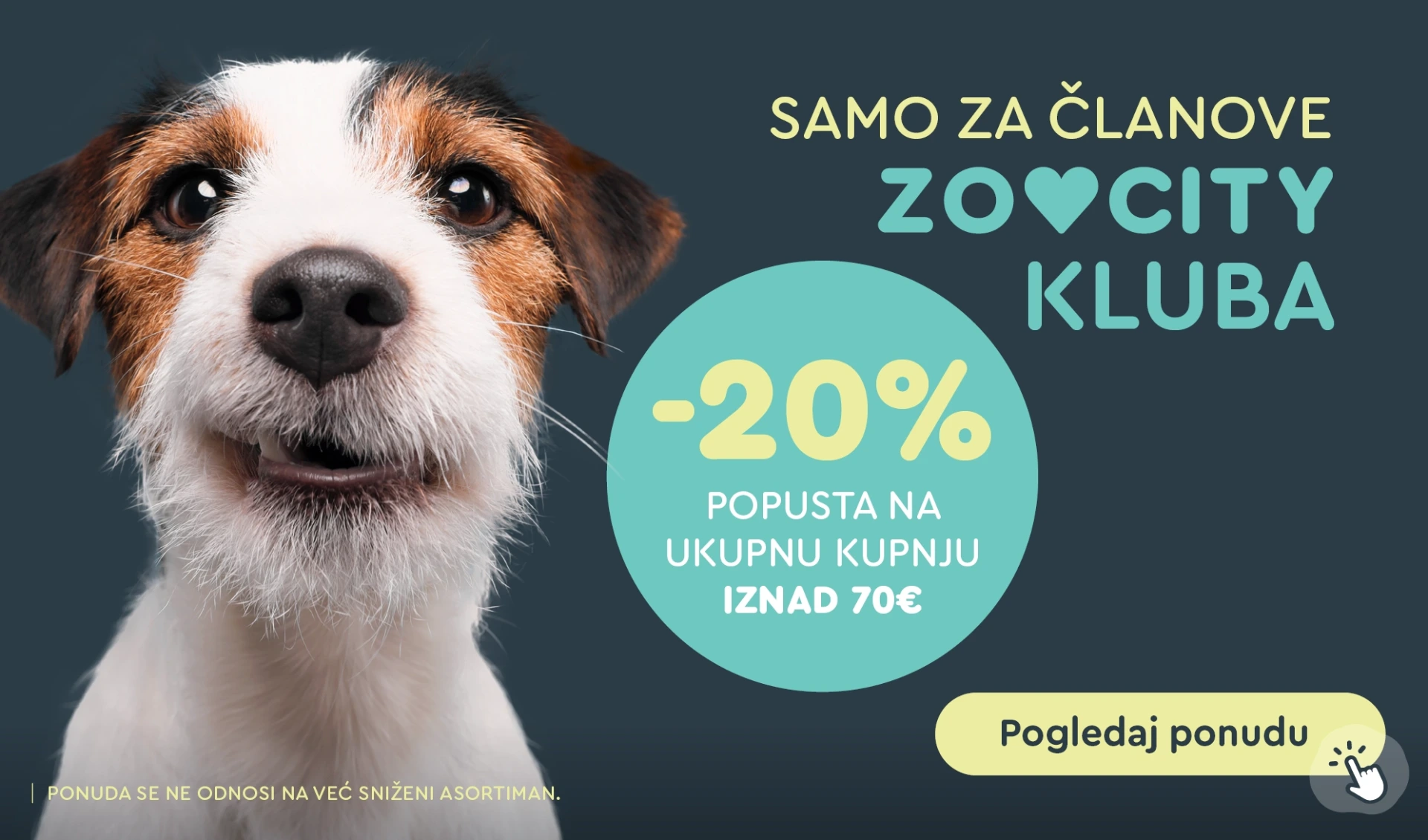 Web akcija