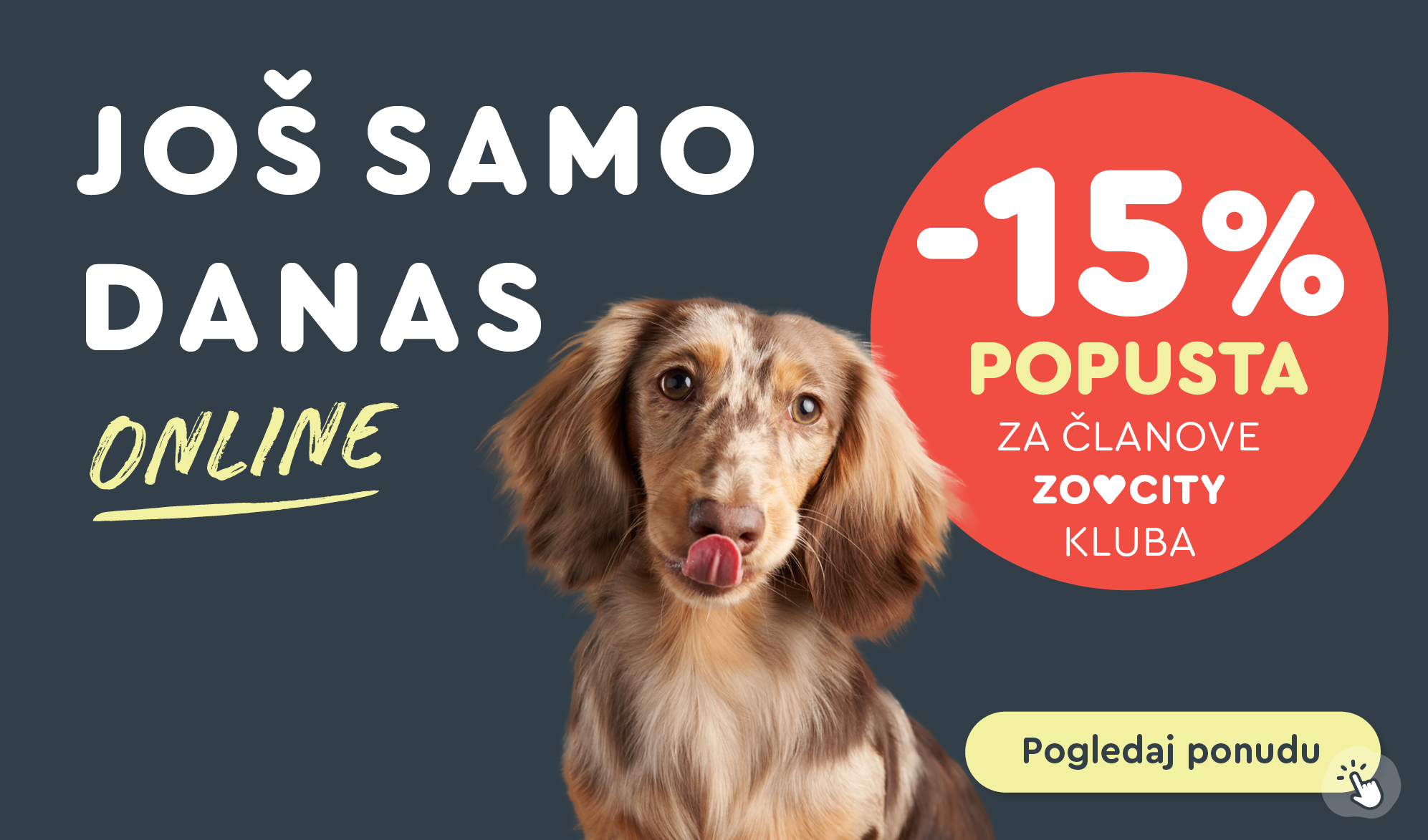 Web akcija