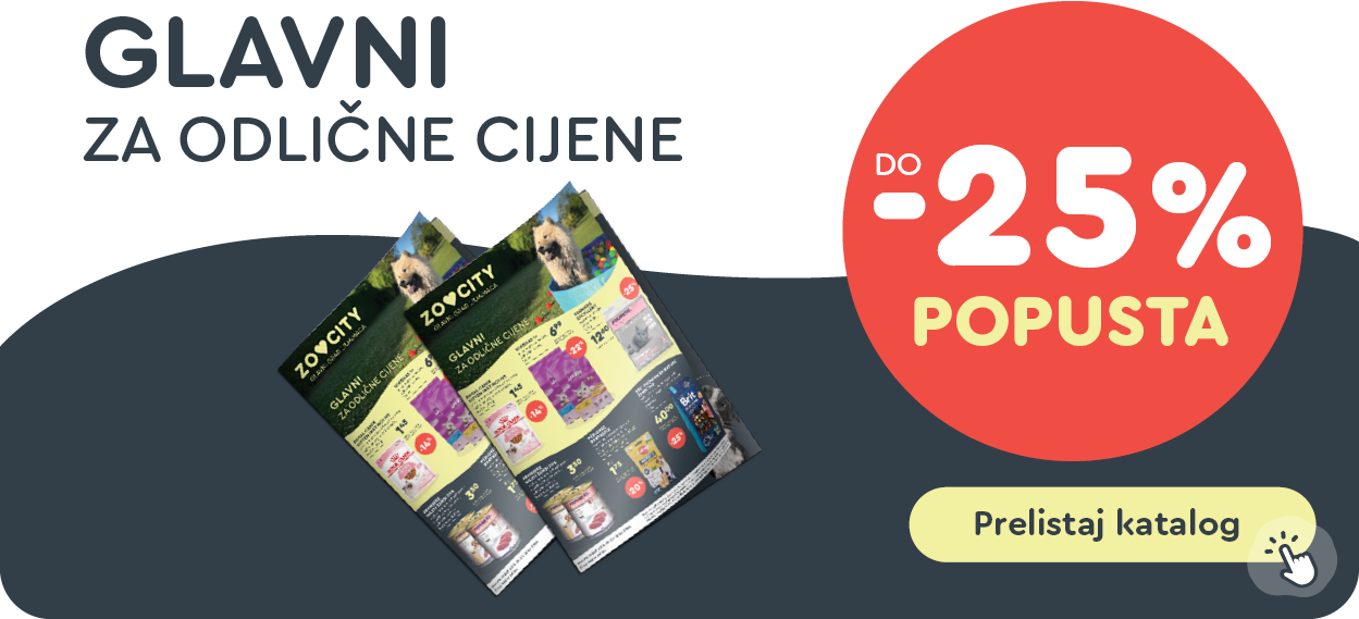 Digitalni katalog