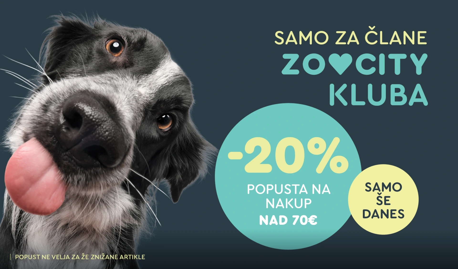 ZOOCITY Spletna akcija